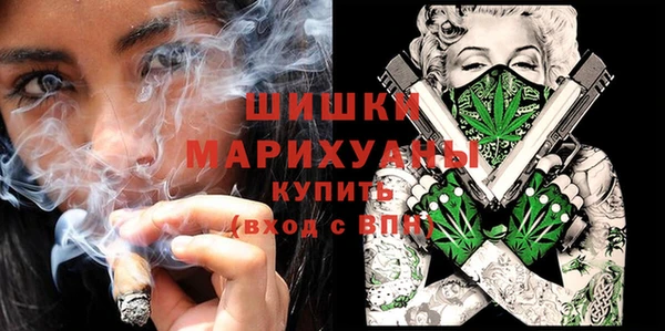 дурь Вяземский
