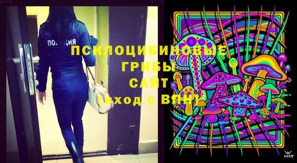 дурь Вяземский