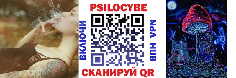как найти закладки  дарк нет какой сайт  Псилоцибиновые грибы MAGIC MUSHROOMS  Данков 
